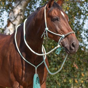 Licol corde combi Liberty Ice Green– Équitation éthologique & sans mors