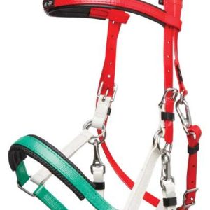 Bridon Licol Marathon Tricolore Zilco