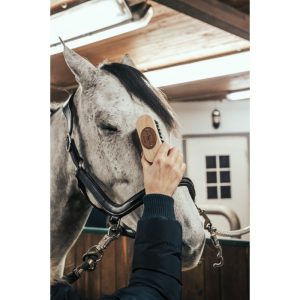 Brosse de Tête Borstiq