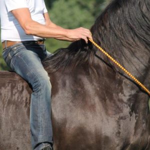 Cordelette d&rsquo;encolure éthologique – F.R.A.® Anka Cordéo