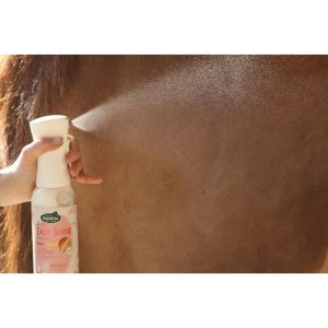 Démélant Easy Shine Ravene – Intense