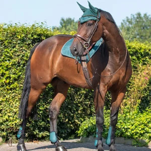 Ensemble guêtres & Protège boulets – QHP