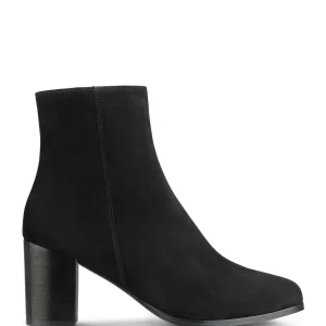 <!-- x-tinymce/html -->Eva