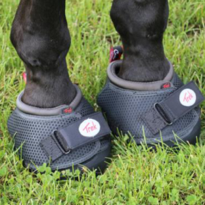 Hipposandale Cavallo – TREK – Slim