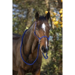 Licol éthologique Norton avec Rênes