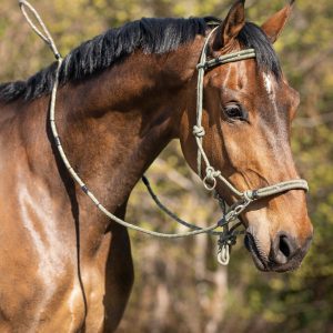 Licol éthologique multifonctionnel Sidepull