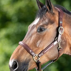 Licol Cuir Soft – HFI