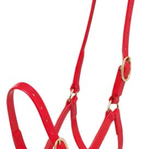 Licol Synthétique Zilco PN 19mm (Laiton)