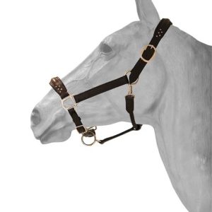 Licol en cuir Diamond – Cristaux Swarovski