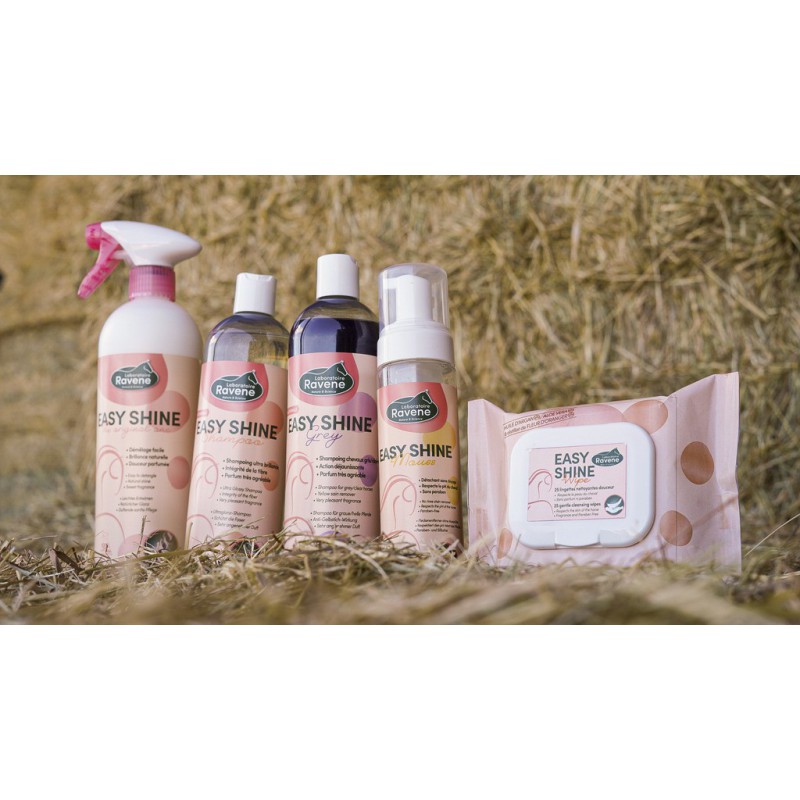 Lingettes nettoyantes Easy Shine Wipe Ravene – Image 2