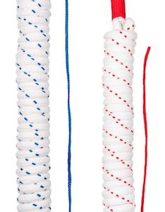 Longe d&rsquo;éthologie – F.R.A.® Jarn – 3 mètres