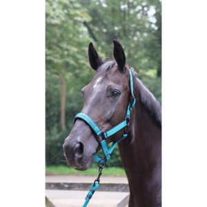 Longe d&rsquo;attache – Charming – LAMI-CELL