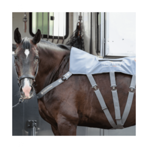 Tapis massant chauffant Equilibrium