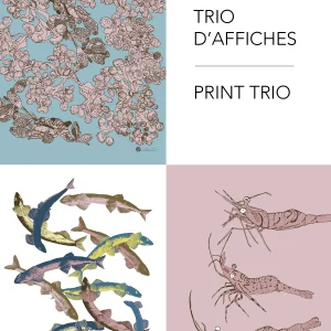 Collection d'affiches maritimes faune et flore marine du Saint-Laurent