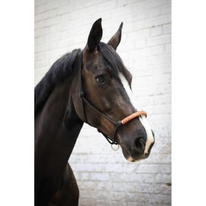 Licol éthologique américain Pénélope – Corde et cuir, confort et précision