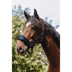 Licol nylon EQUITHÈME 3D Mesh – Confort respirant et design tendance pour cheval